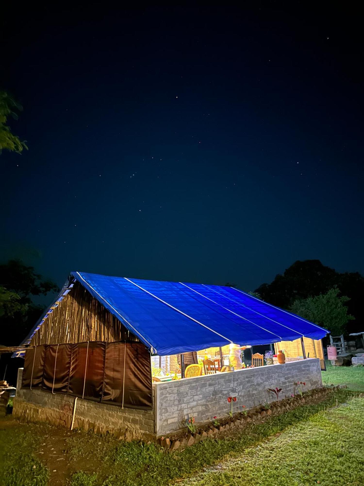 Dreamwoods A Travellers Farm Pansiyon Dharamshala Dış mekan fotoğraf