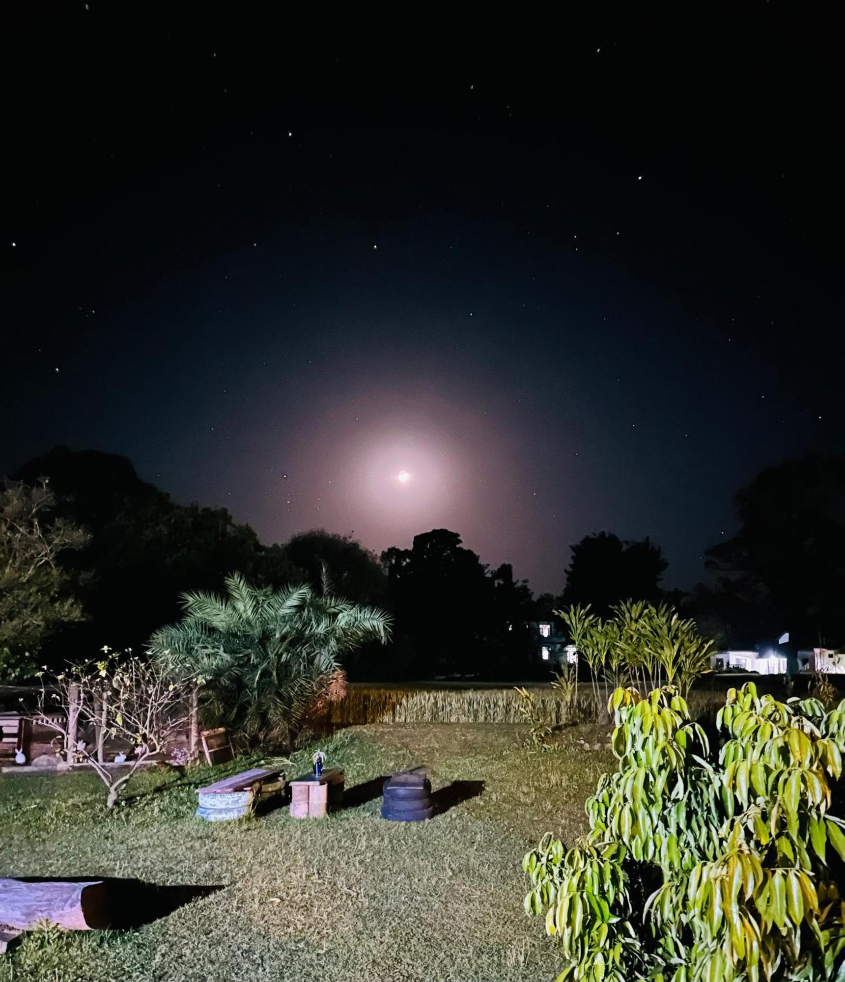 Dreamwoods A Travellers Farm Pansiyon Dharamshala Dış mekan fotoğraf