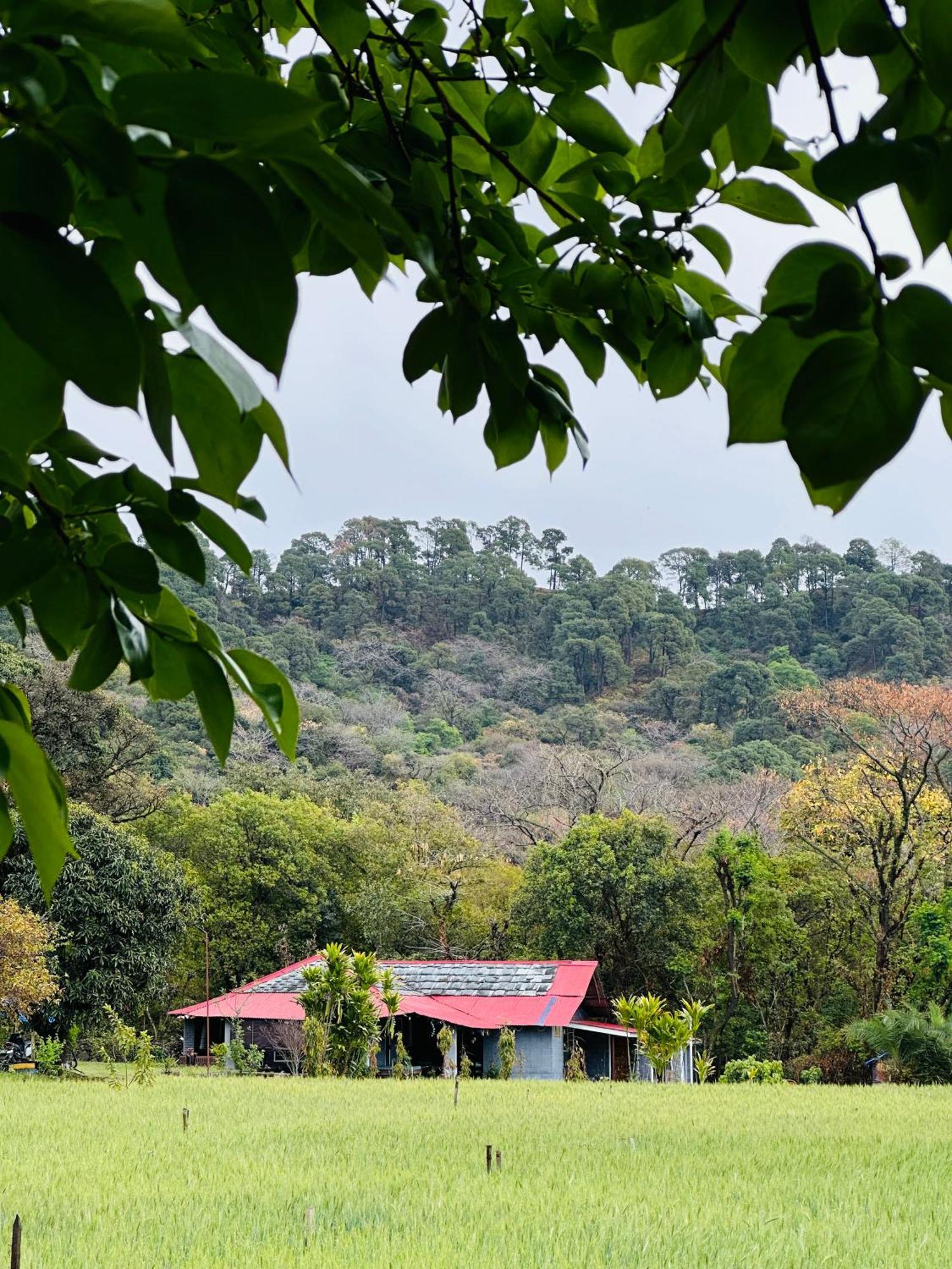 Dreamwoods A Travellers Farm Pansiyon Dharamshala Dış mekan fotoğraf