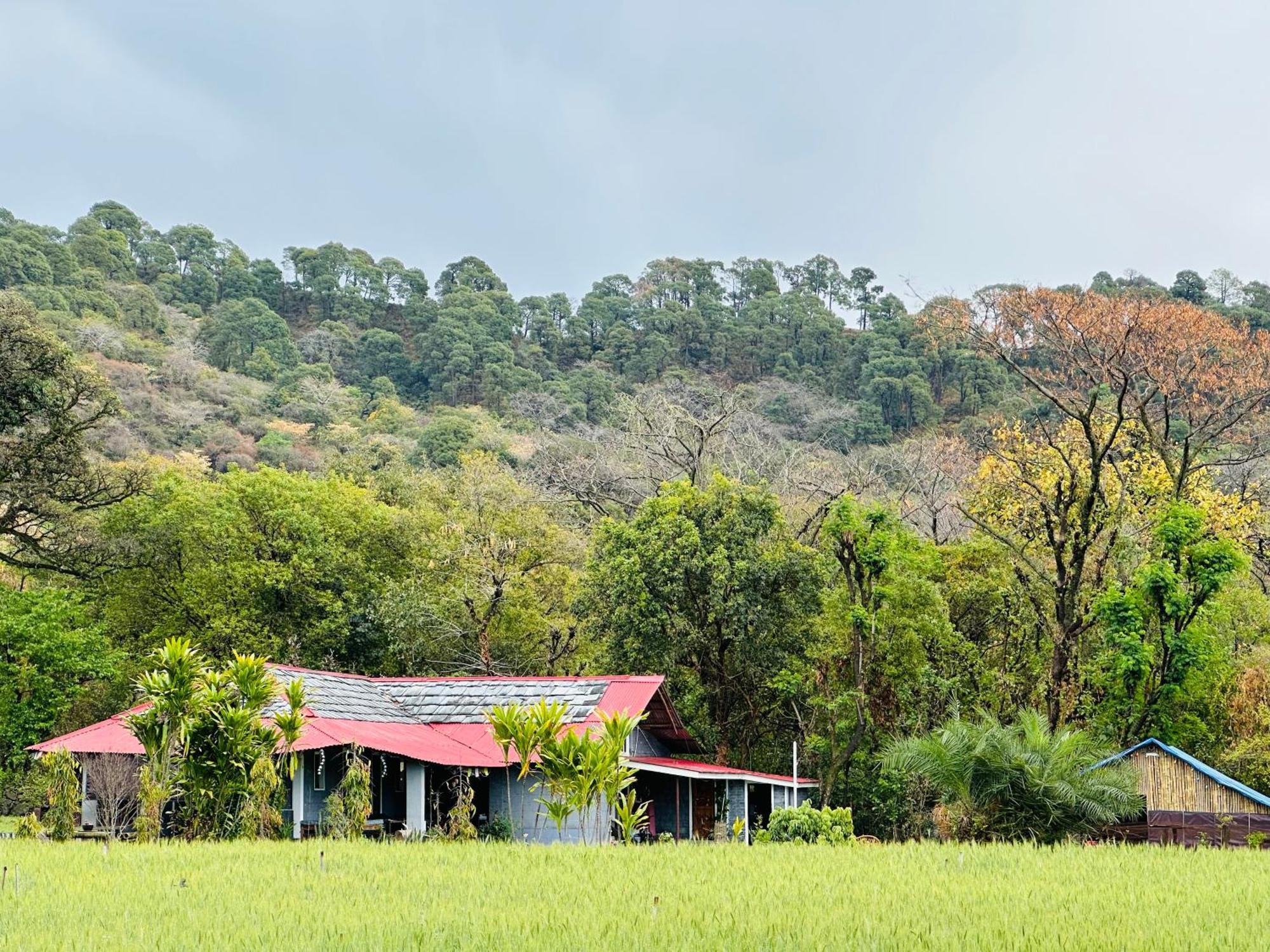 Dreamwoods A Travellers Farm Pansiyon Dharamshala Dış mekan fotoğraf